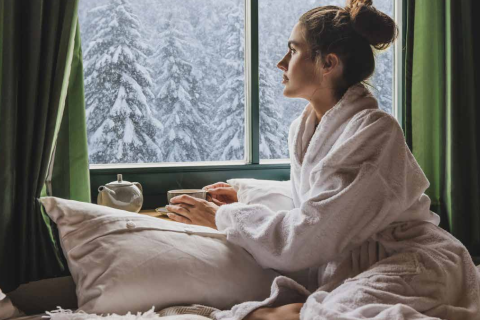 WINTER FENSTERLN WINTER FENSTERLN